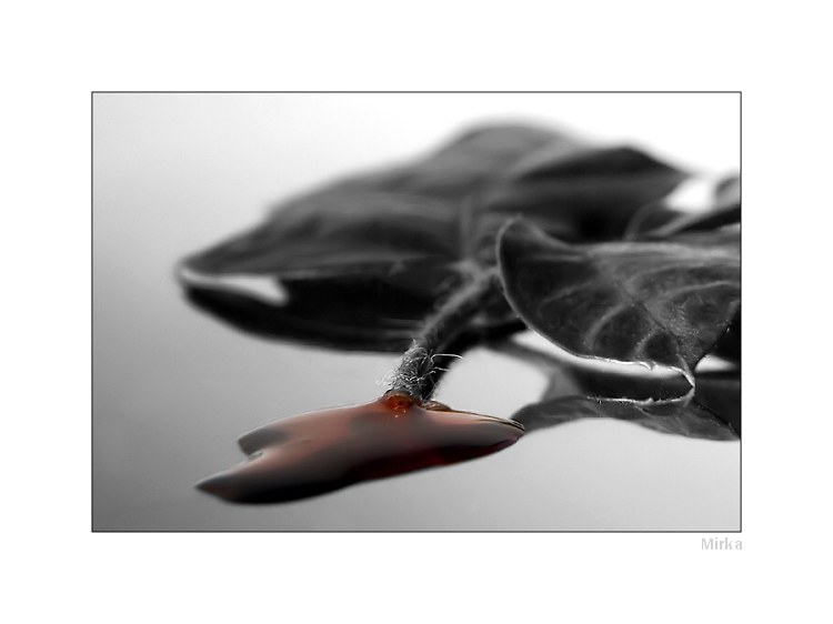 bloody